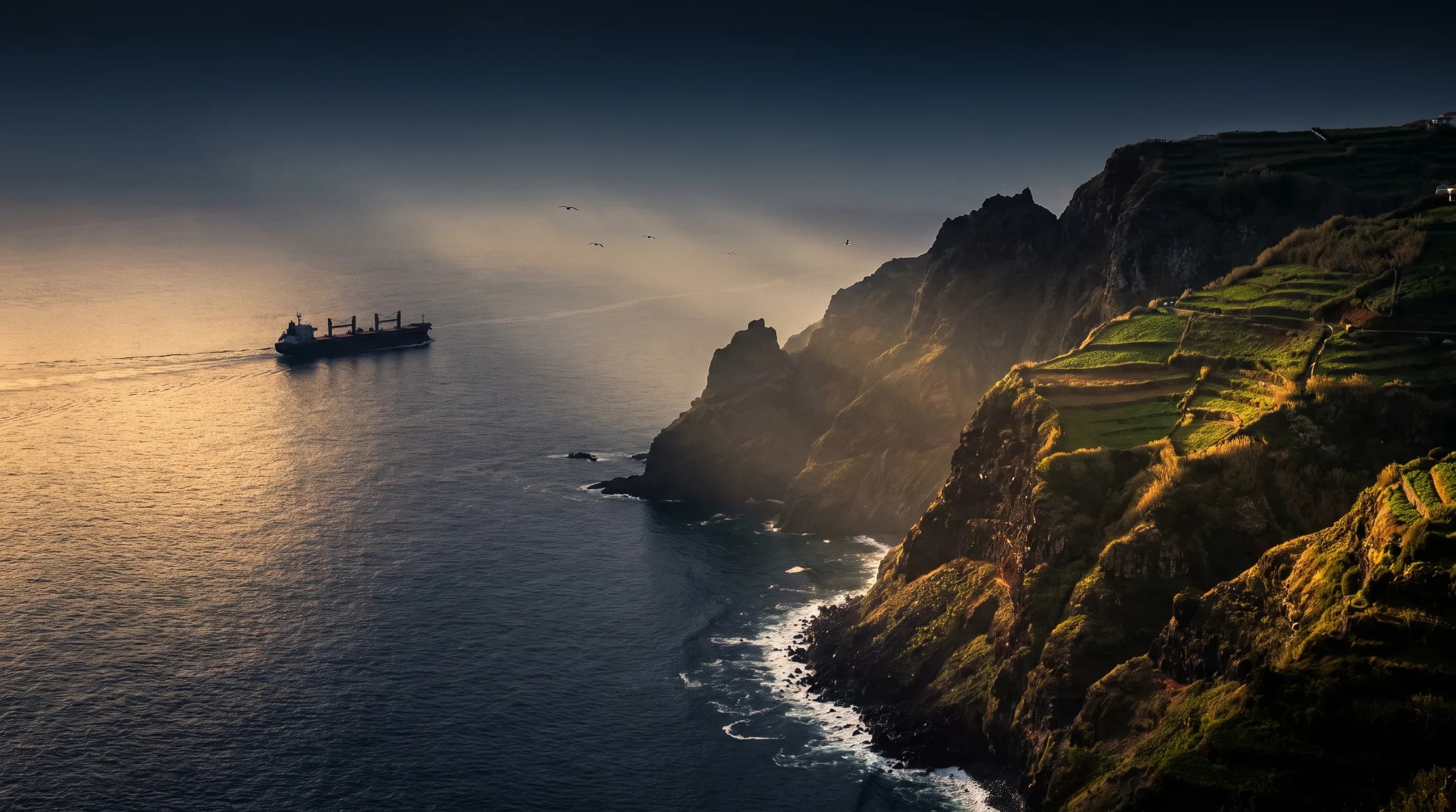 A bulk carrier on the horizon at golden hour