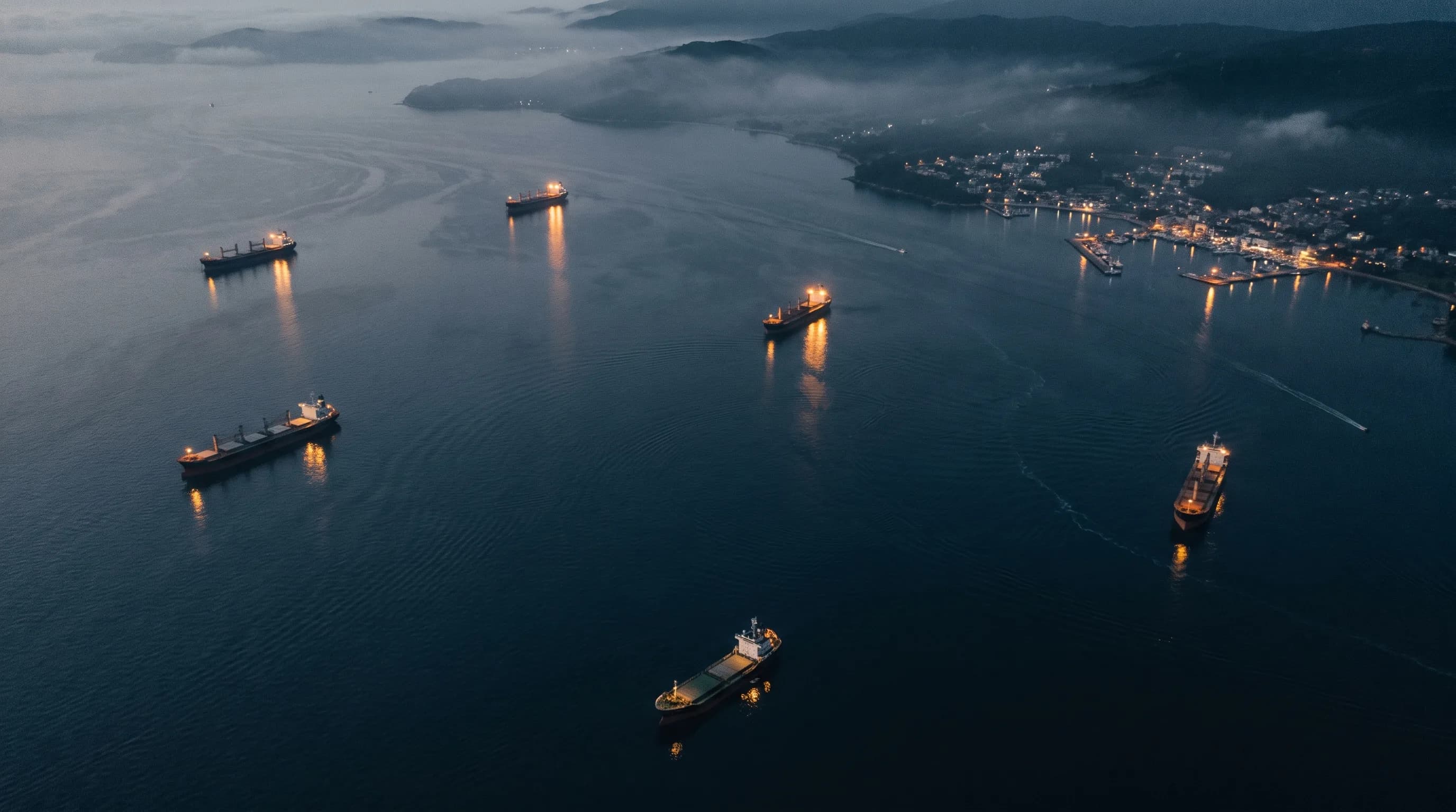Bulk carriers at anchor at dusk